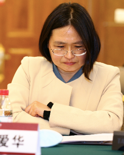 WANG Aihua